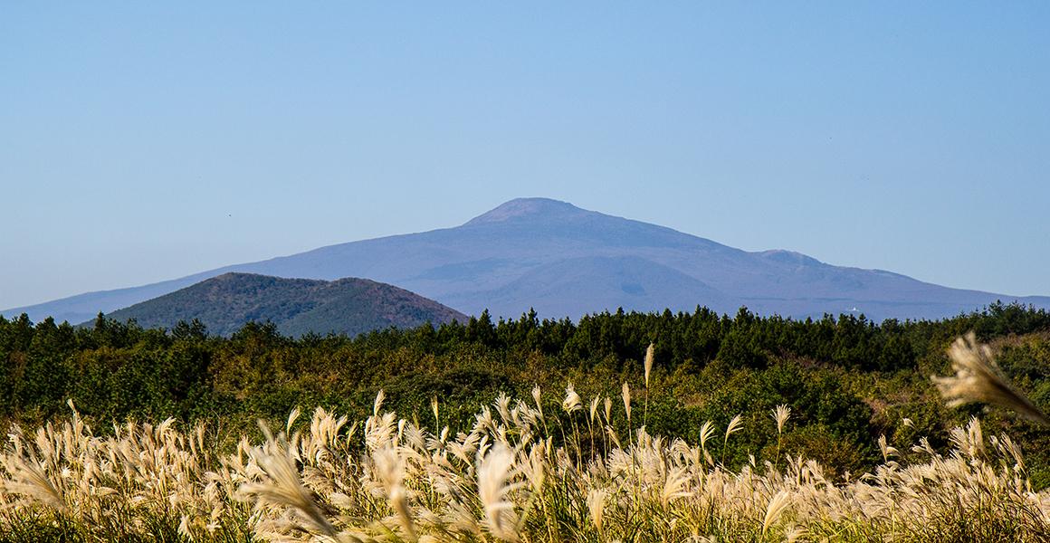 Full of romance: Jeju autumn trips