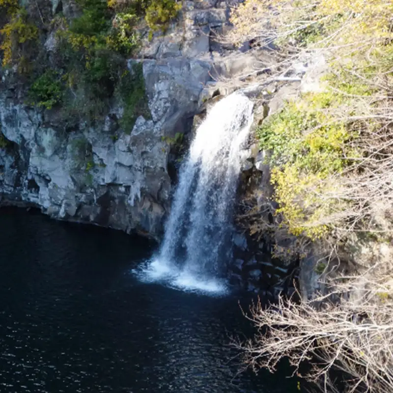천제연폭포 썸네일 이미지
