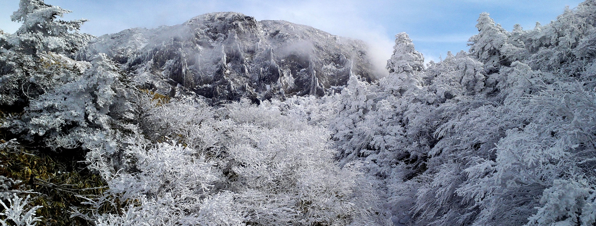 제주의겨울 한라산 설경